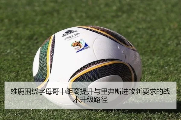 雄鹿围绕字母哥中距离提升与里弗斯进攻新要求的战术升级路径