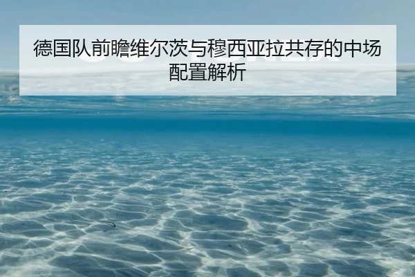 德国队前瞻维尔茨与穆西亚拉共存的中场配置解析
